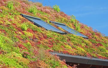 South Cove living roof systems