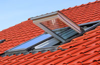 South Cove roof window