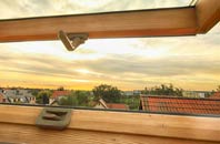 rated South Cove roof window companies